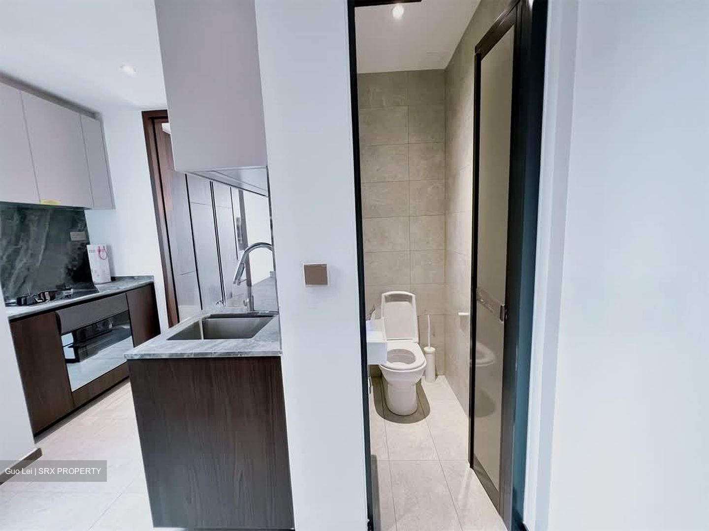 Leedon Green (D10), Condominium #527440021